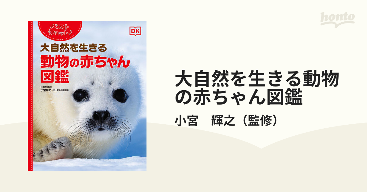 極寒の氷原、赤ちゃん誕生 動物奇想天外 タテゴトアザラシ