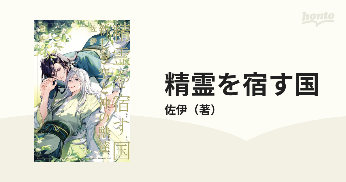 精霊を宿す国 新しき空と神の獣達の通販/佐伊 - 小説：honto本の通販ストア