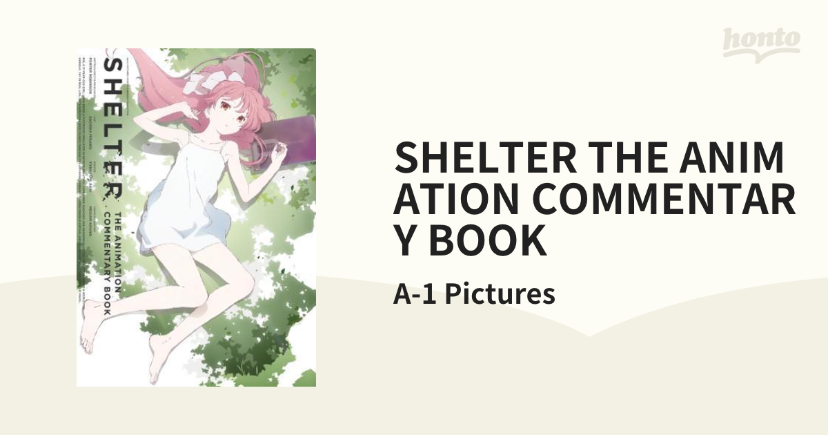 河野恵美 赤井俊文 SHELTER原画集 & イラスト集 【公式通販】