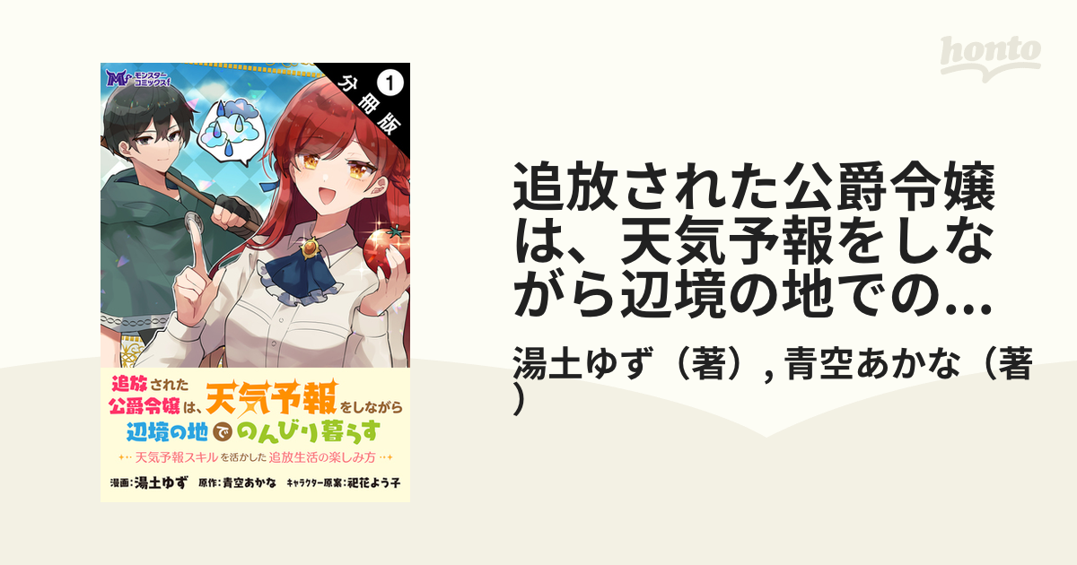 追放された公爵令嬢は、天気予報をしながら辺境の地でのんびり暮らす